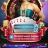 Rummy Perfect App Icon